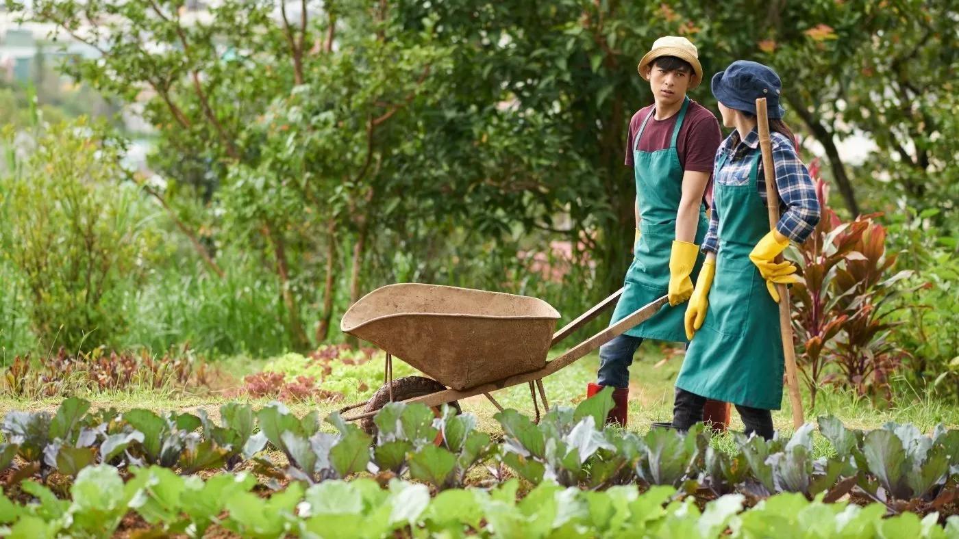 The Hidden Mystery Behind FARM